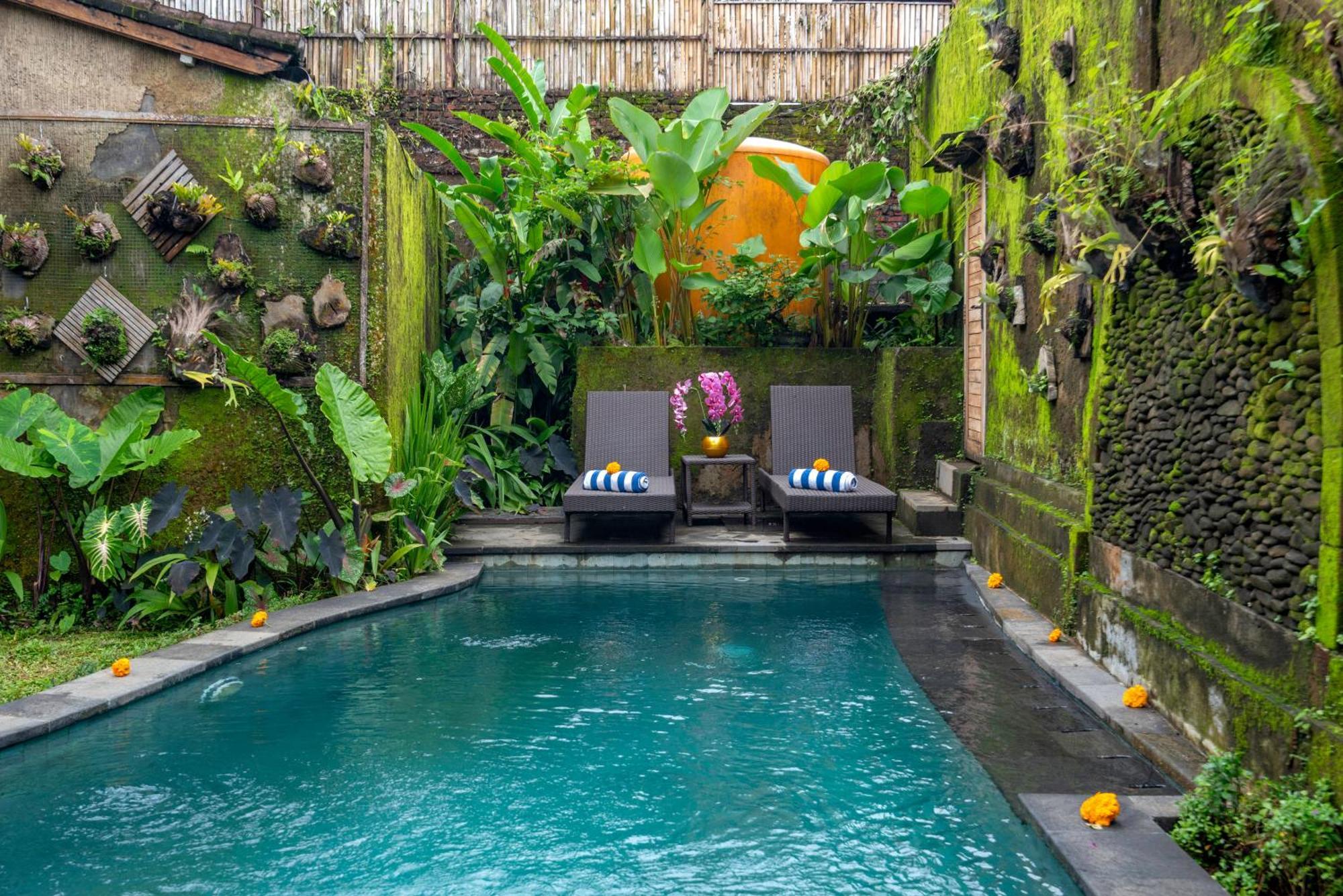 The Alus Villa And Suite Ubud Exteriér fotografie