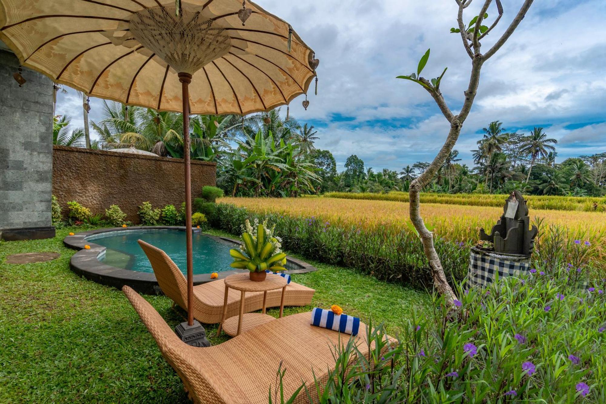 The Alus Villa And Suite Ubud Exteriér fotografie